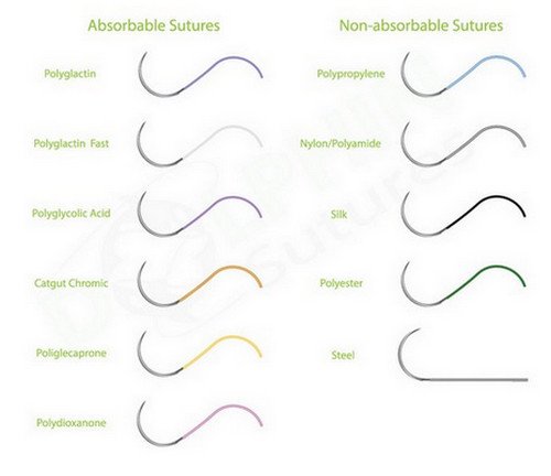 A comparison between absorbable,dissolvable stitches and non-absorbable stitches.image