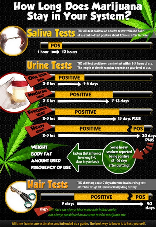 Different testing methods used to detect THC level in the body How long does Adderall last image