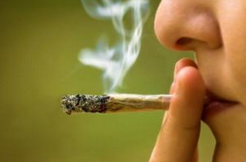 Smoking cannabis is one of the commonly used methods in introducing weed to the body photo
